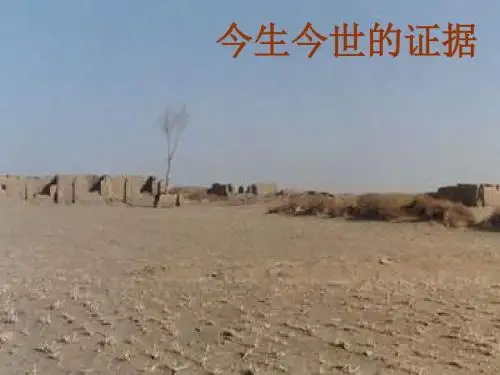 《今生今世的证据》课件
