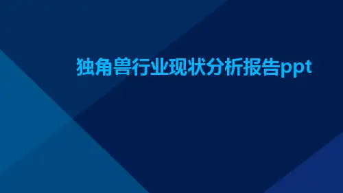独角兽行业现状分析报告ppt