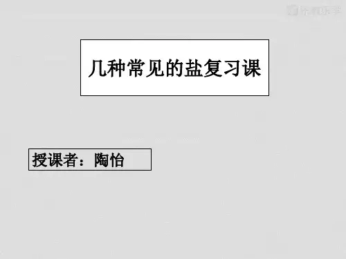 人教版九年级下册化学《几种常见的盐复习课》课件