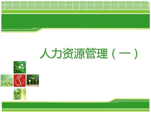 人力资源管理案例PPT(共 38张)