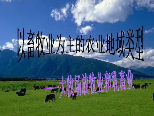 大牧场放牧业和乳畜业 (2)