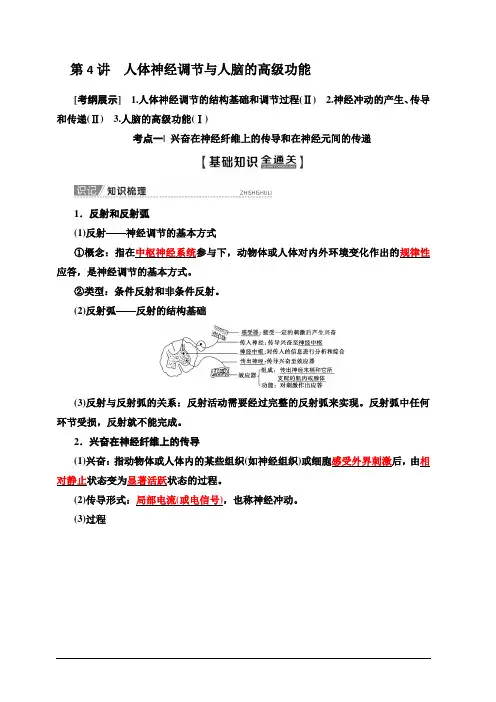 2020版新一线高考生物苏教版一轮复习教学案：必修3第8单元第4讲人体神经调节与人脑的高级功能含答案