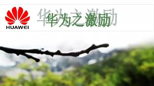 华为的绩效管理全解课件