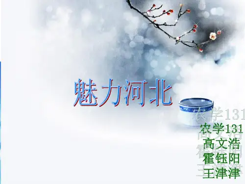 很棒的介绍河北PPT