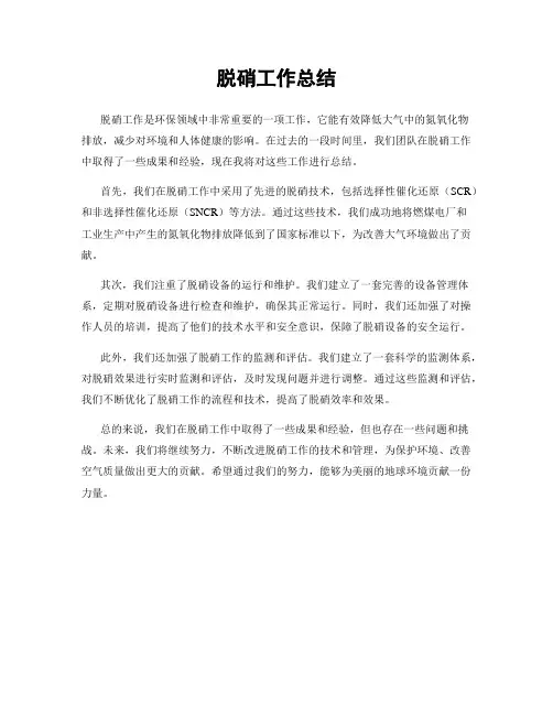 脱硝工作总结