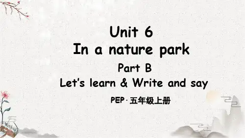 部编版五年级英语上册优质课件 Unit 6 Part B 第5课时