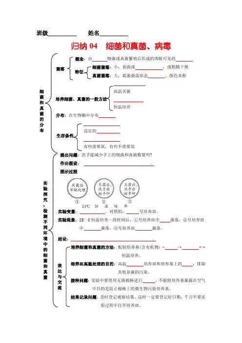 归纳04细菌和真菌病毒(学生版)-【知识手册】八年级生物上册知识点归纳(人教版)