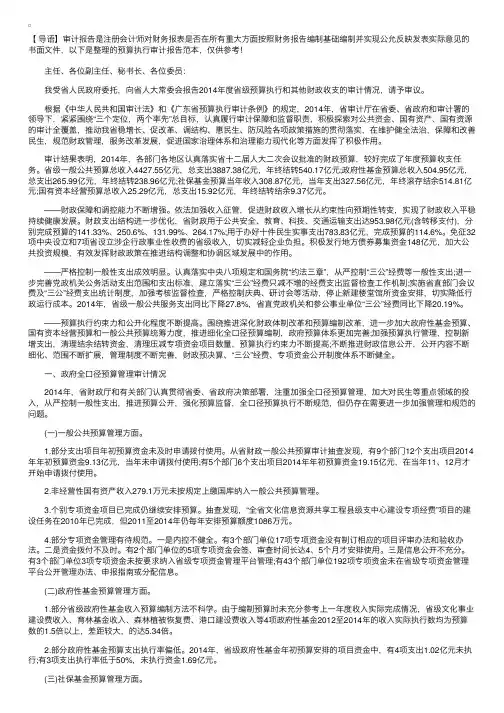 预算执行审计报告范本