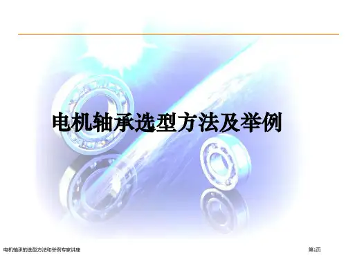 电机轴承的选型方法和举例专家讲座
