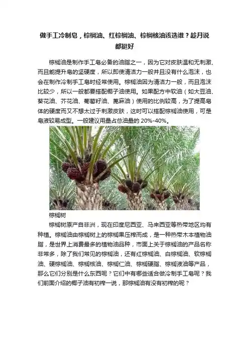 做手工冷制皂，棕榈油、红棕榈油、棕榈核油该选谁？趁月说都挺好