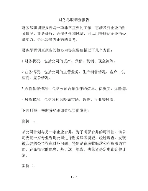 财务尽职调查报告