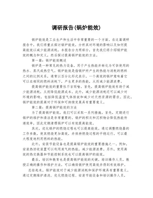 调研报告(锅炉能效)