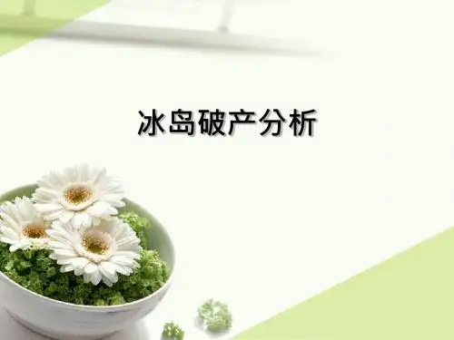 冰岛破产分析