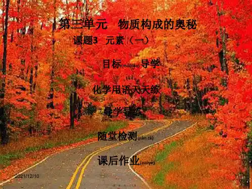 九年级化学上册 第三单元 物质构成的奥秘 课题3 元素(1)导学导练