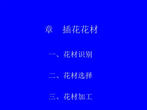 插花花材识别与选择minimizer