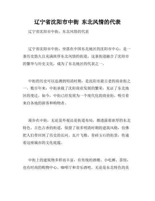 辽宁省沈阳市中街  东北风情的代表