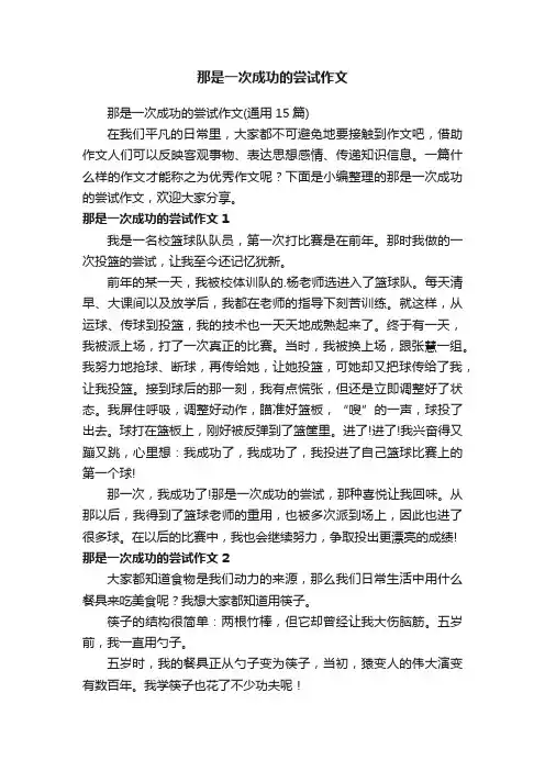 那是一次成功的尝试作文（通用15篇）
