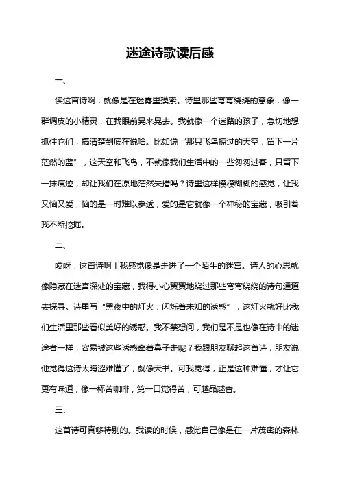 迷途诗歌读后感