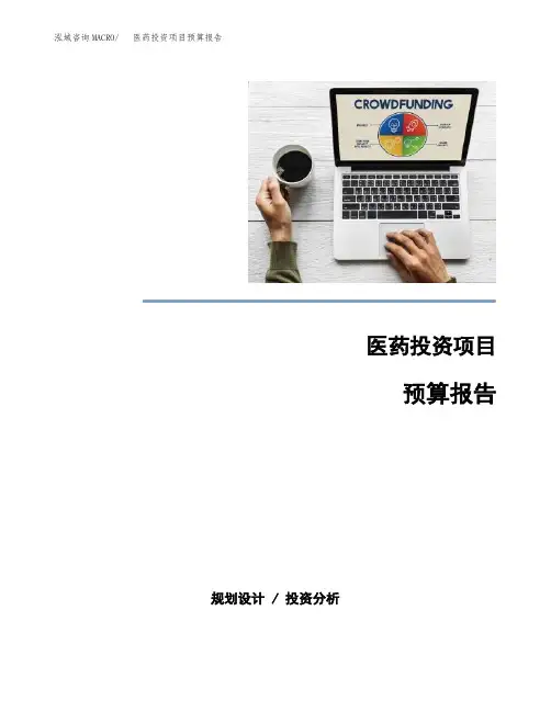医药投资项目预算报告