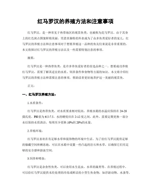 红马罗汉的养殖方法和注意事项