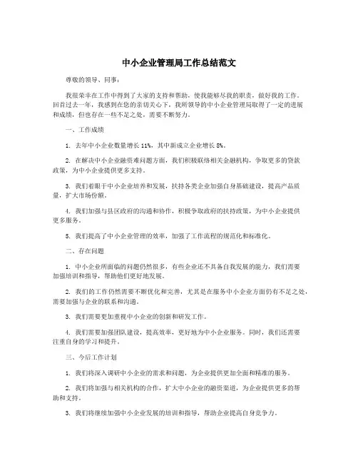 中小企业管理局工作总结范文