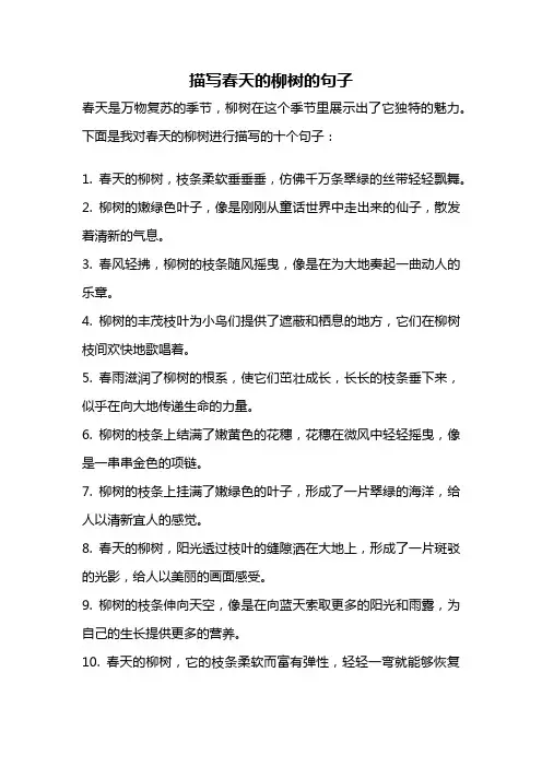 描写春天的柳树的句子