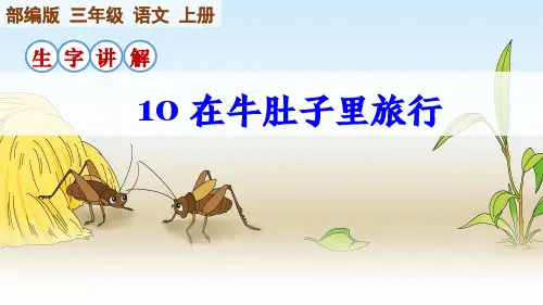 部编版语文三年级上册第10课《在牛肚子里旅行》生字讲解课件