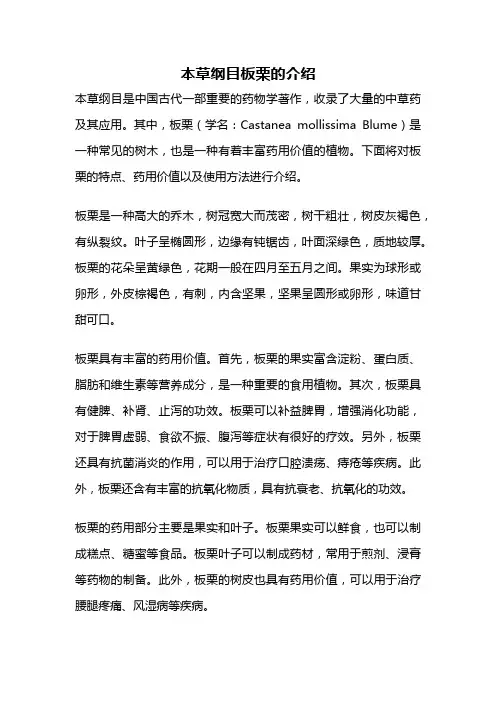 本草纲目板栗的介绍