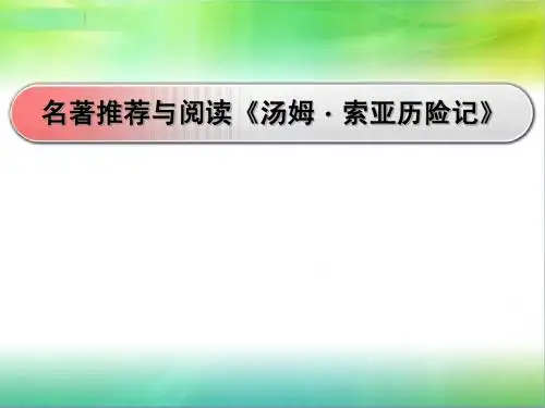 上课用汤姆·索亚历险记