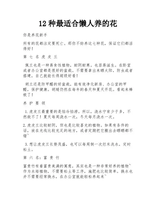 12种最适合懒人养的花