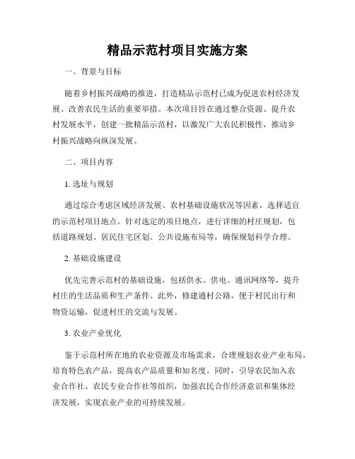 精品示范村项目实施方案