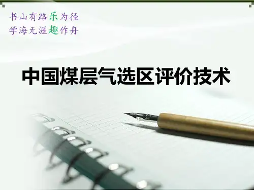 中国煤层气选区评价技术精品PPT课件