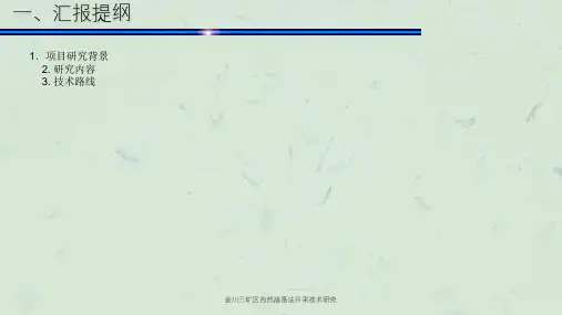 金川三矿区自然崩落法开采技术研究