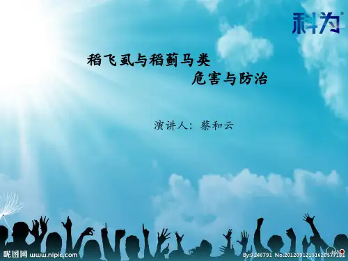稻飞虱与稻蓟马的危害和防治