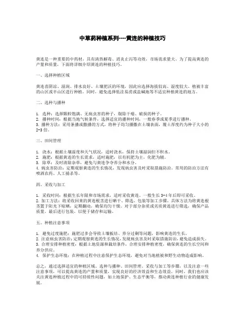 中草药种植系列----黄连的种植技巧