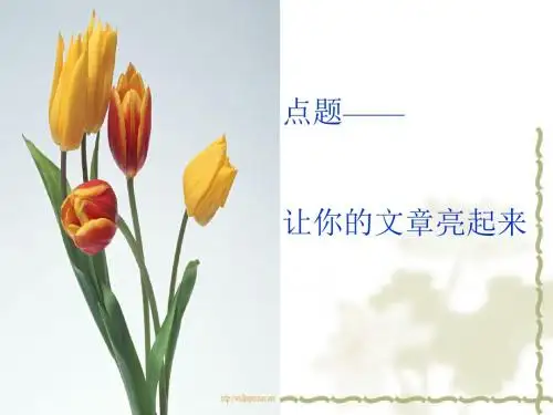 初中作文指导：《点题——让你的作文亮起来》PPT