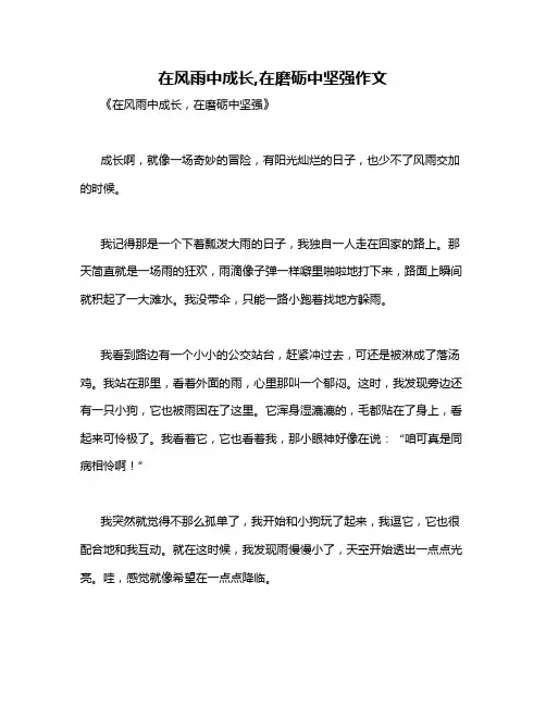 在风雨中成长,在磨砺中坚强作文