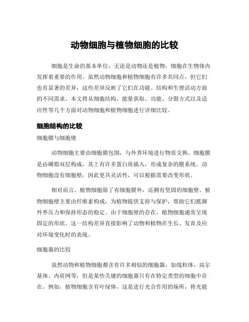 动物细胞与植物细胞的比较
