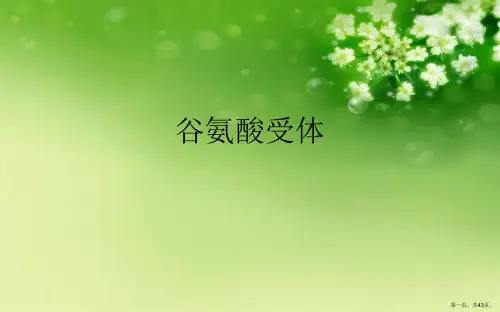 谷氨酸受体