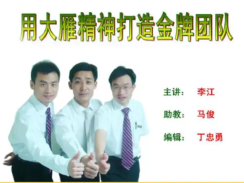大雁精神团队管理(P).pptx