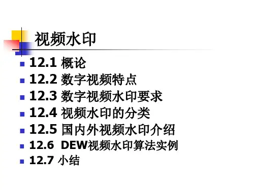 视频版权保护_数字视频水印