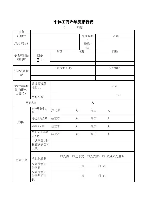 个体户年报表
