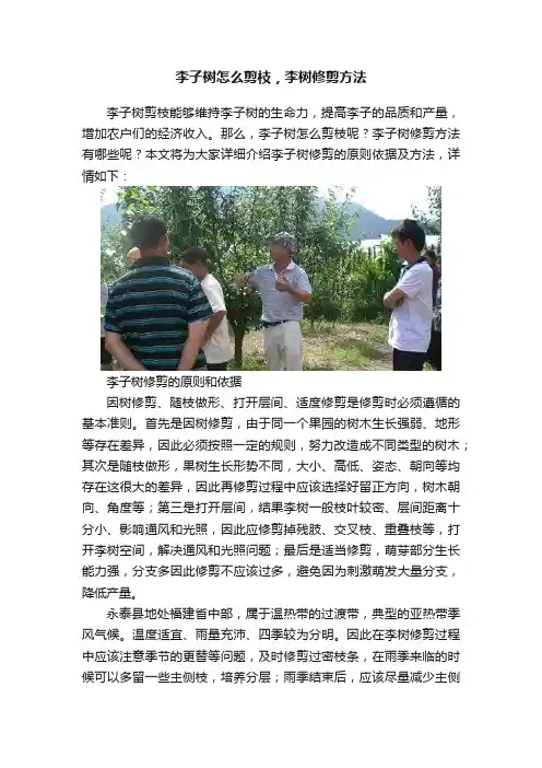 李子树怎么剪枝，李树修剪方法