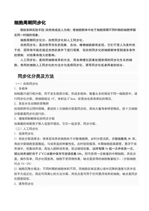 细胞周期同步化
