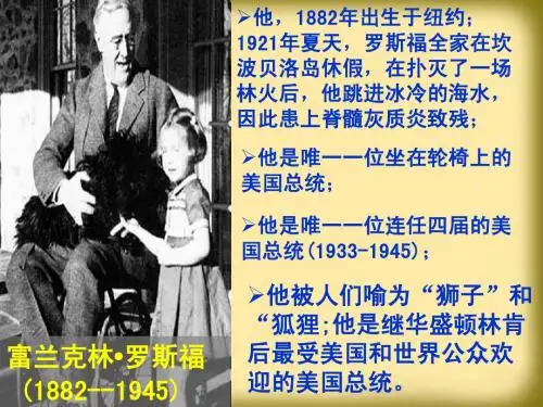 罗斯福新政[人民版]