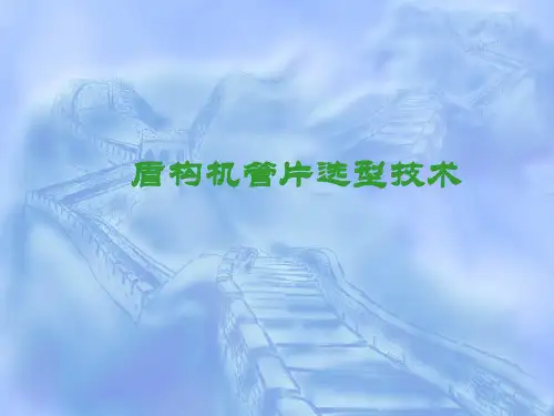 管片选型技术