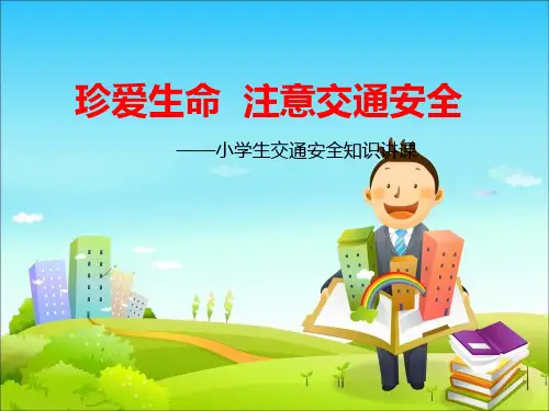 小学生交通安全知识讲课《珍爱生命注意交通安全》精美课件
