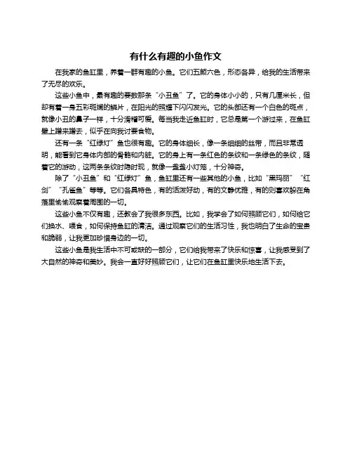 有什么有趣的小鱼作文