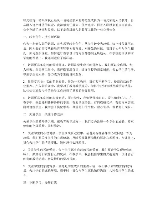 教师新入职工作心得体会