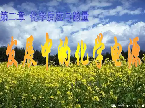 发展中的化学电源